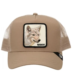 THE BANDIT COYOTE