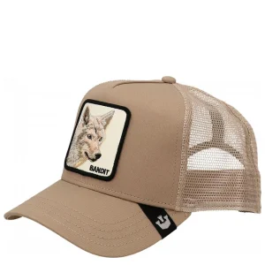THE BANDIT COYOTE